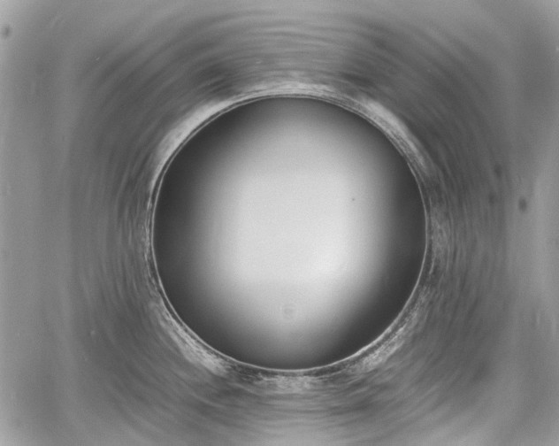 X0000060801244200511141431