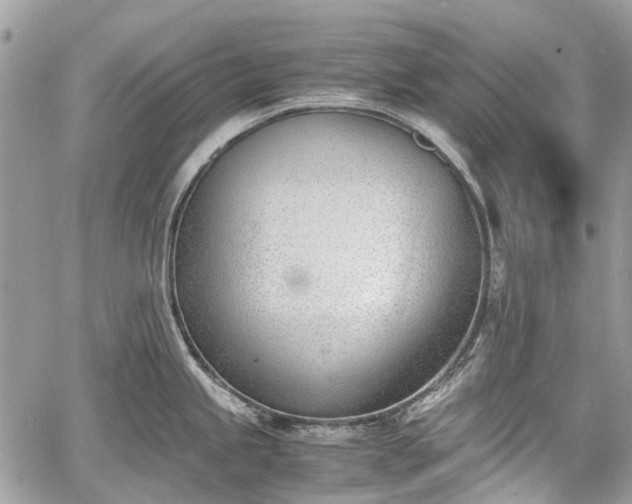 X0000060801245200511141431