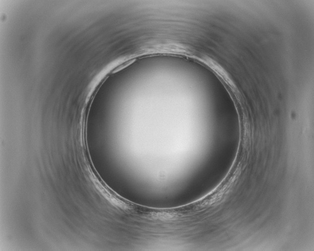 X0000060801246200511141431