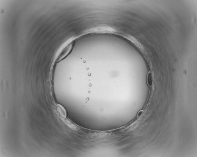 X0000060801248200511141431