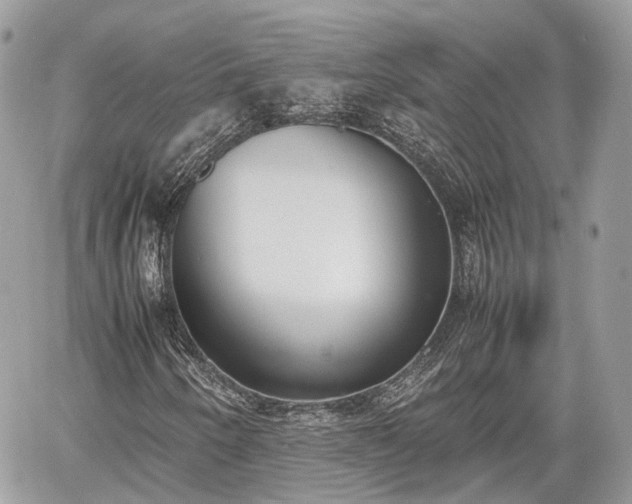 X0000060801250200511141431