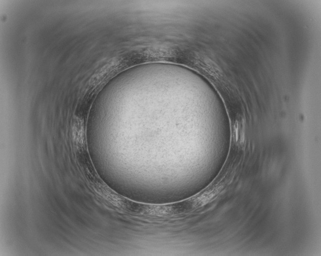 X0000060801251200511141431