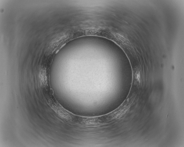 X0000060801252200511141431