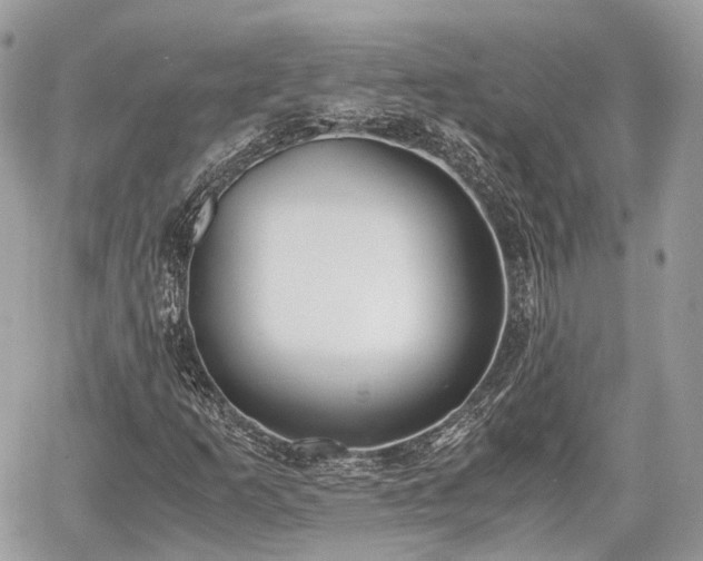 X0000060801253200511141431