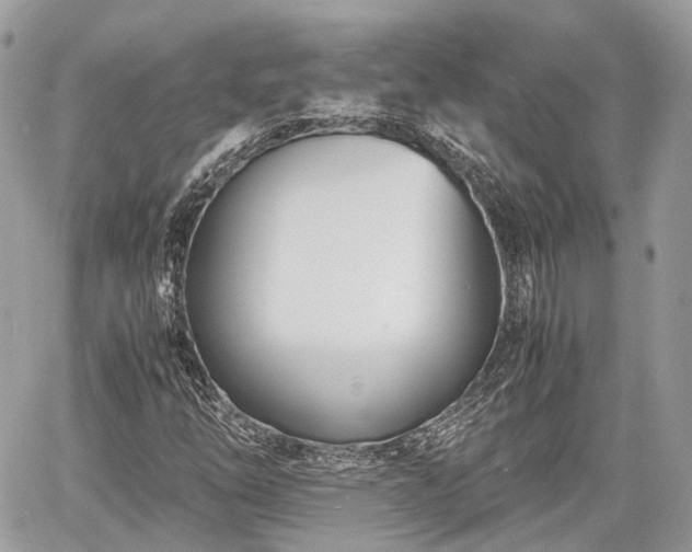 X0000060801254200511141430