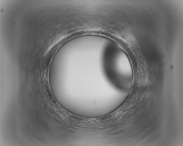 X0000060801255200511141430