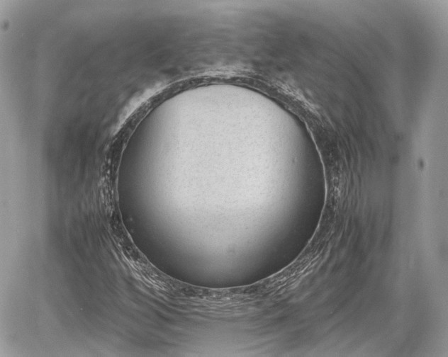 X0000060801256200511141430