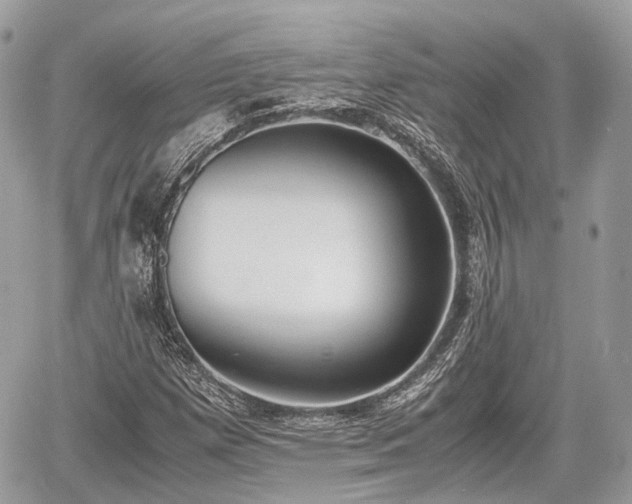 X0000060801257200511141430