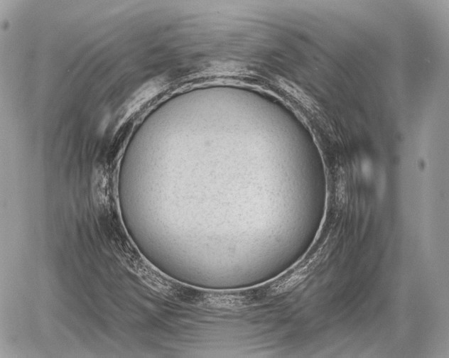 X0000060801258200511141430