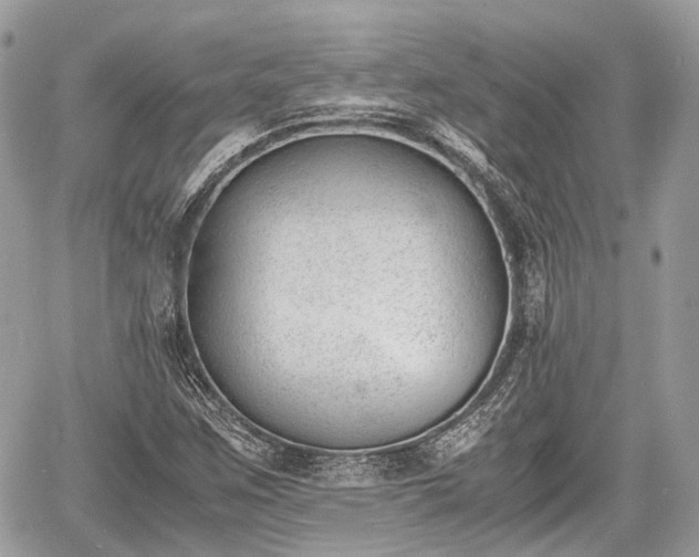 X0000060801259200511141430