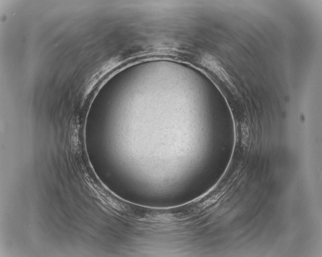 X0000060801260200511141430