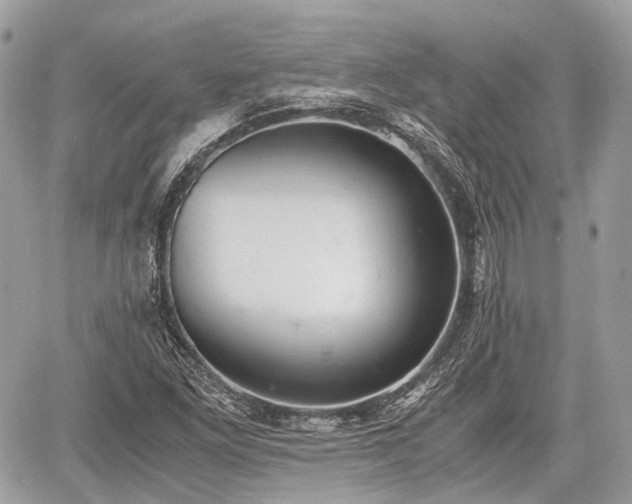 X0000060801261200511141430