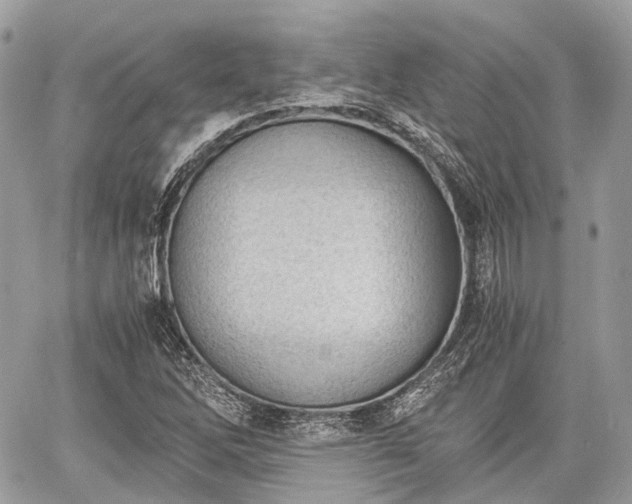 X0000060801262200511141430