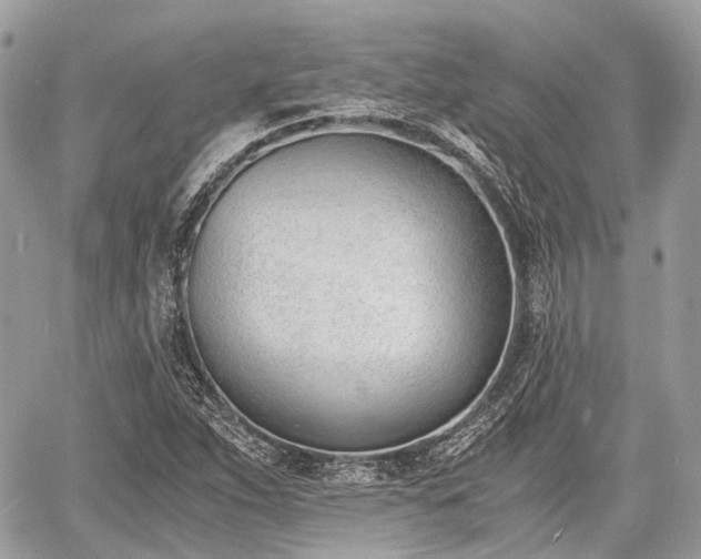 X0000060801263200511141430