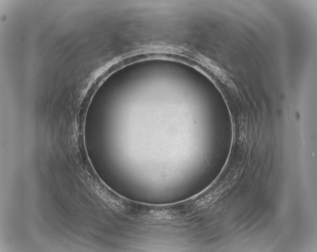 X0000060801264200511141430