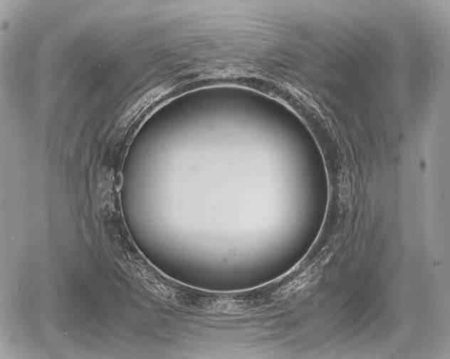 X0000060801265200511141430