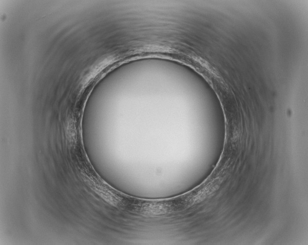 X0000060801266200511141430