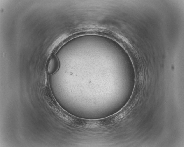 X0000060801267200511141430