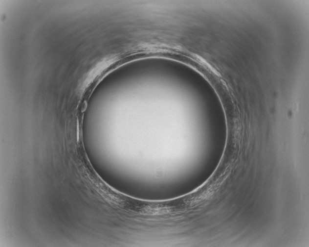 X0000060801269200511141430