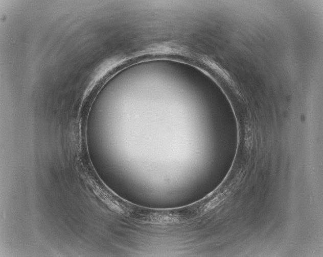 X0000060801270200511141430