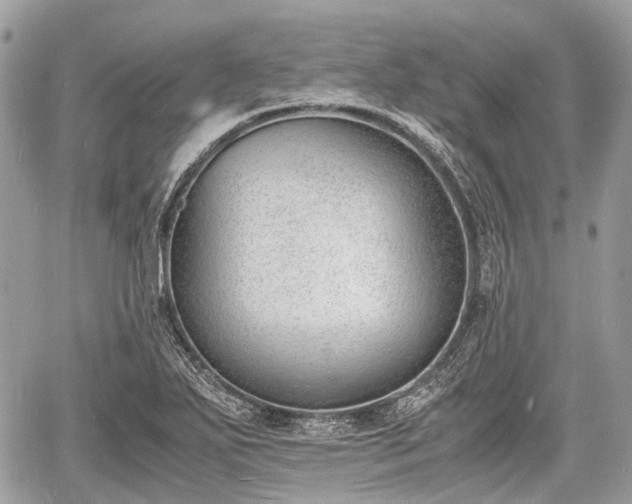 X0000060801271200511141430