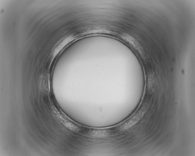 X0000060801274200511141430