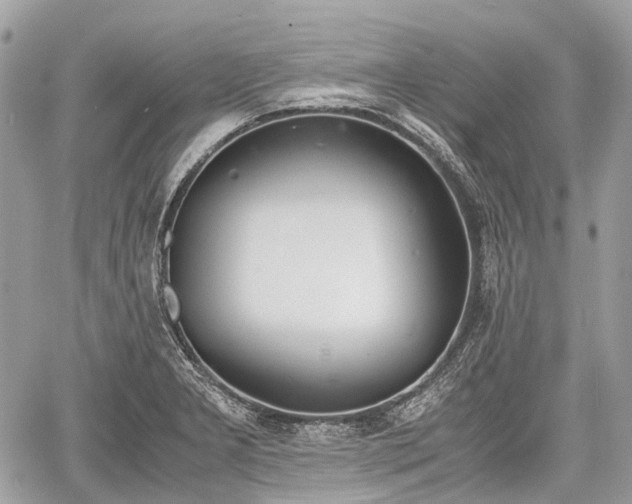 X0000060801277200511141430