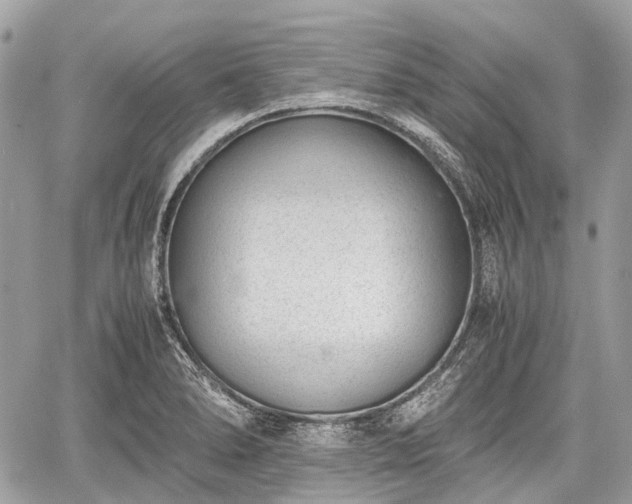 X0000060801278200511141430