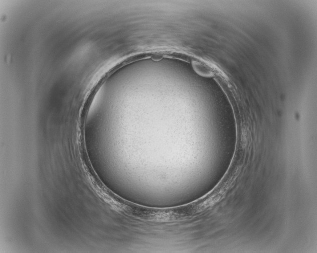 X0000060801279200511141430