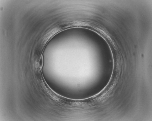 X0000060801281200511141430