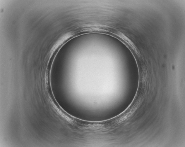 X0000060801285200511141430