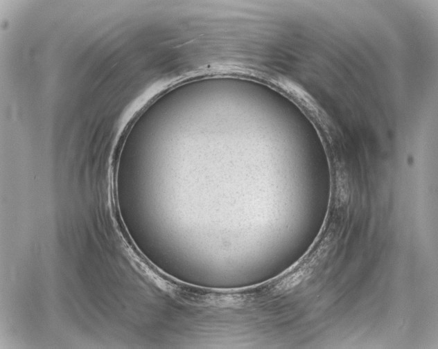 X0000060801286200511141430