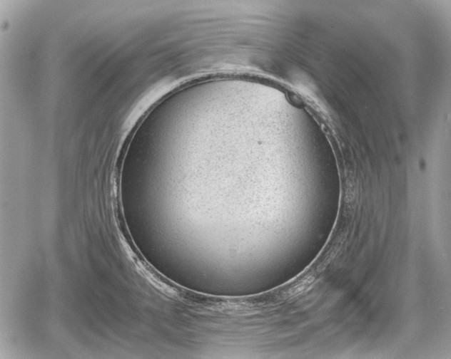 X0000060801287200511141430