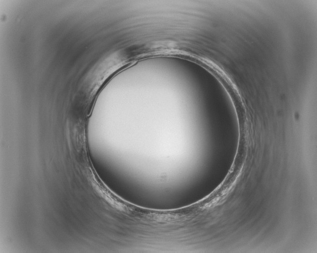 X0000060801289200511141430