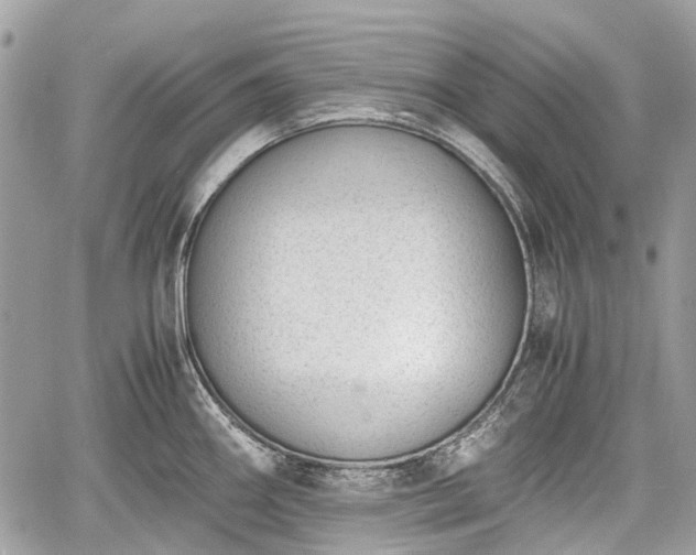 X0000060801290200511141430