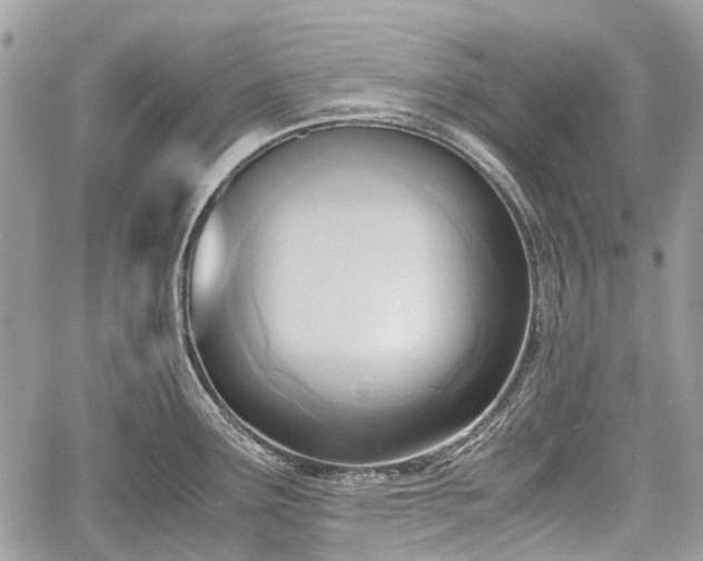 X0000060801291200511141430