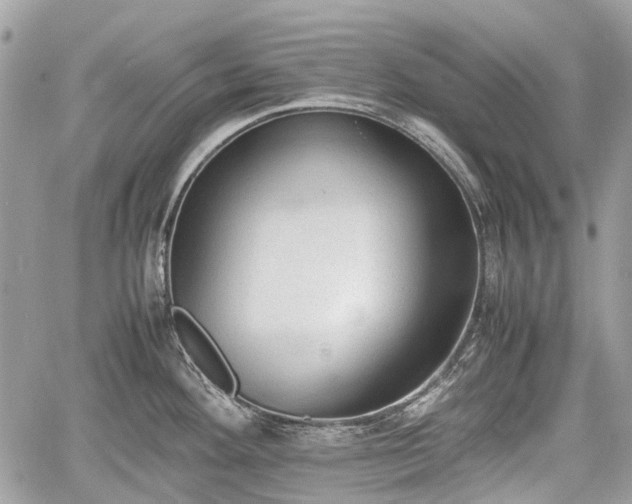 X0000060801292200511141430