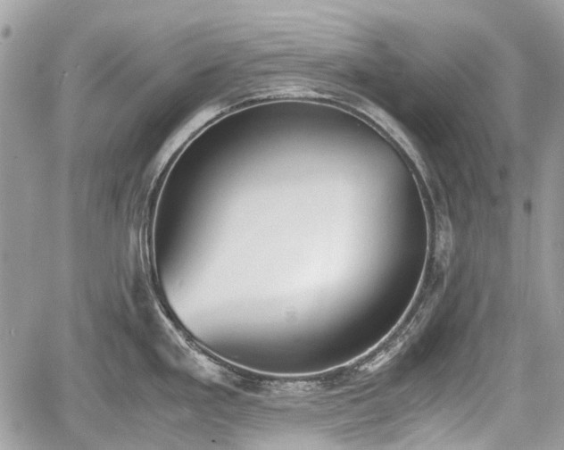 X0000060801293200511141430