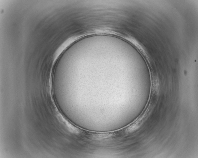 X0000060801294200511141430