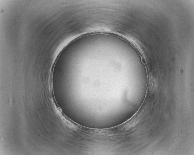 X0000060801295200511141430