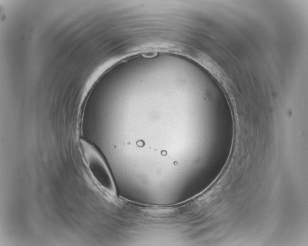 X0000060801296200511141430