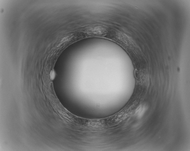 X0000060801297200511141429