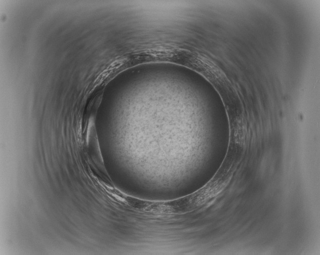 X0000060801298200511141429