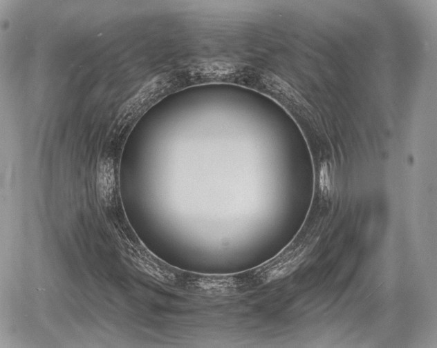 X0000060801299200511141429