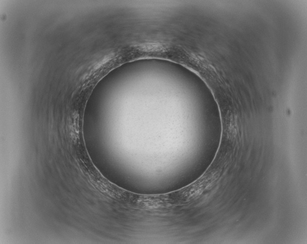 X0000060801301200511141429