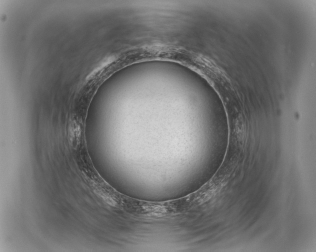 X0000060801302200511141429