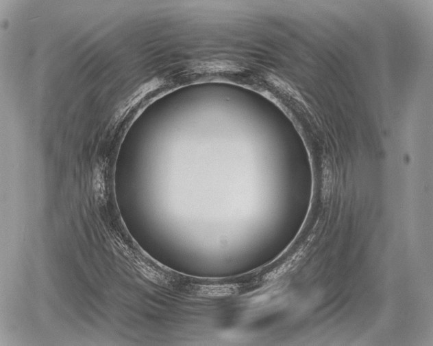 X0000060801305200511141429