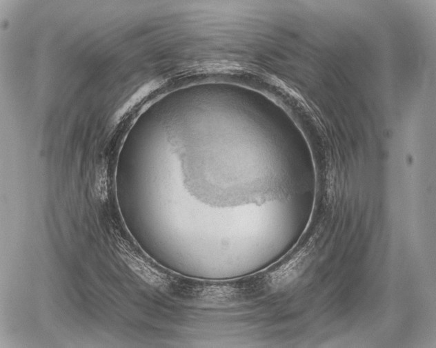 X0000060801306200511141429