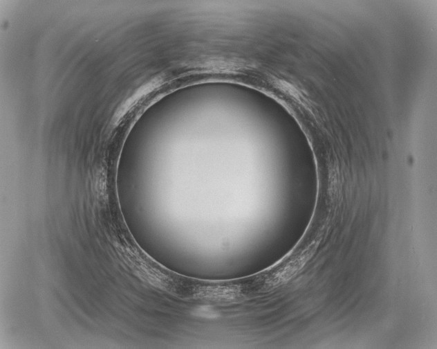 X0000060801307200511141429