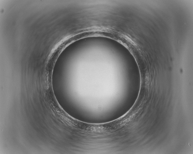 X0000060801310200511141429